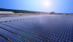 中美硅晶与ks凯时·(中国区)官方网站光电携手战略合作